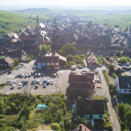 Muscat - Bel Appartement Renove Recemment - Au Pied Du Vignoble - Parking Gratuit Riquewihr Zewnętrze zdjęcie